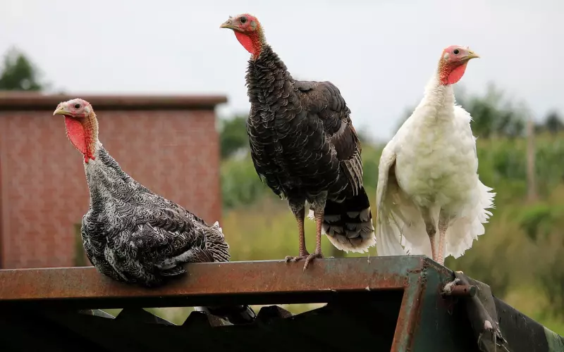 挽回男友的三个小故事，教你分辨挽回爱情误区
