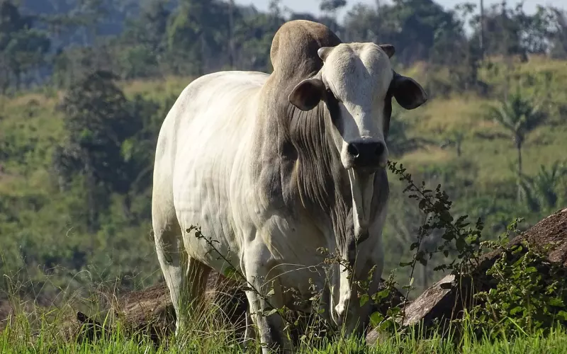 男人想跟你分手的三个征兆