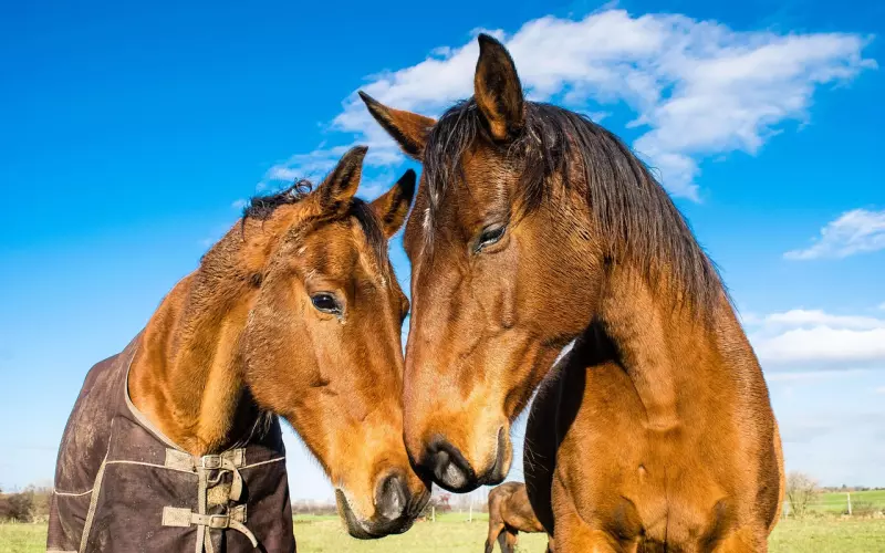 挽回感情三步走，让他重新只对你有感觉