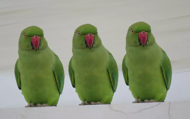 挽回前男友的三个步骤