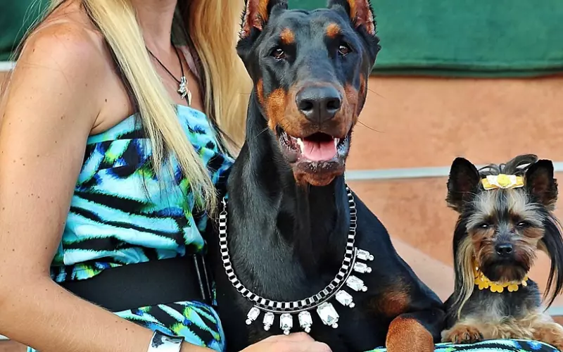 爱你的男人，才会给你的三样东西