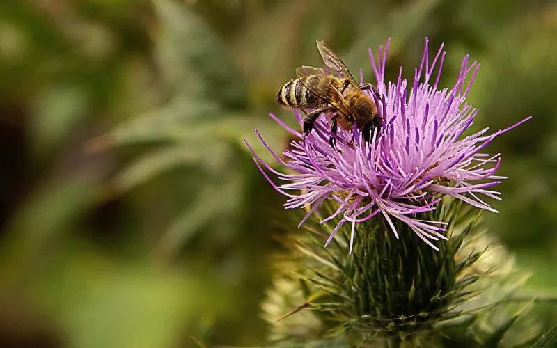分手挽回男友三大注意事项