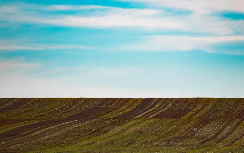 挽回男友之前要想清楚的三件事