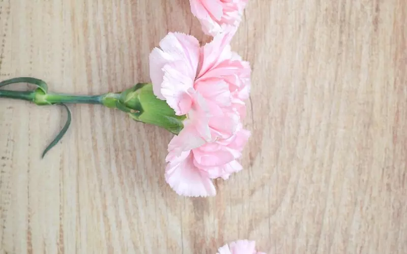 挽回男友之前你必须做到的三件事