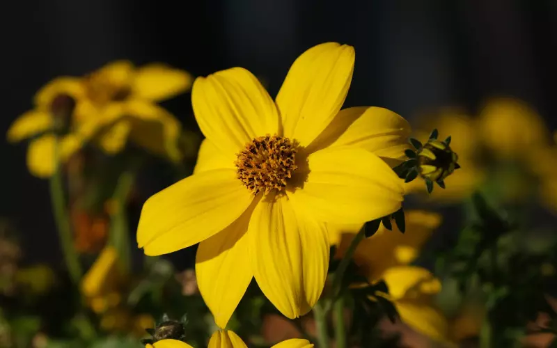 挽回前任之你必须要知道的三件事情！