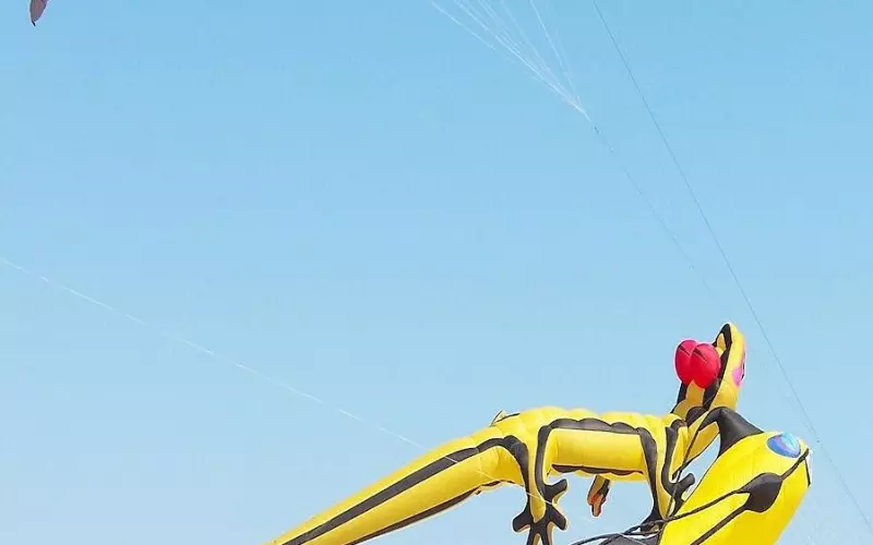 三招避免挽回对象拉黑你