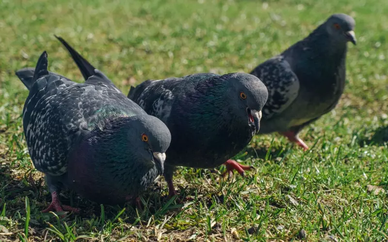 挽回前男友三个绝招：教你挽回一个死心的人