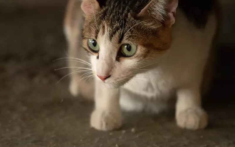 挽回爱情三大绝招，成功挽回心爱的他！