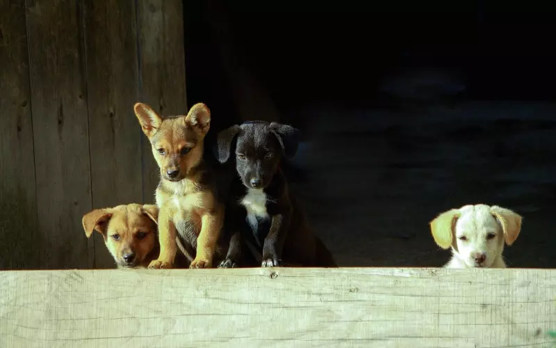 挽回爱情三大绝招，成功挽回心爱的他！