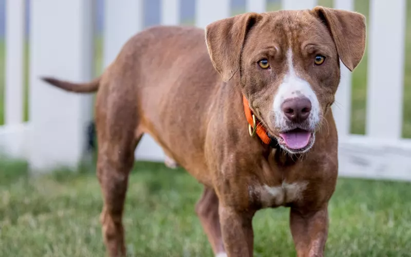 三种女人分手后最容易和前男友撕破脸