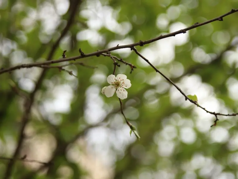三个办法冷落男人，效果胜过死皮赖脸，男人会加倍爱你