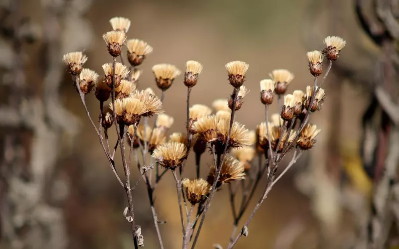 不适合冷战，冷透了就难以挽回的3星座
