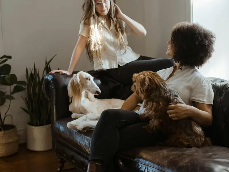 雷语 | 痴情时感人至深，无情时负人最深