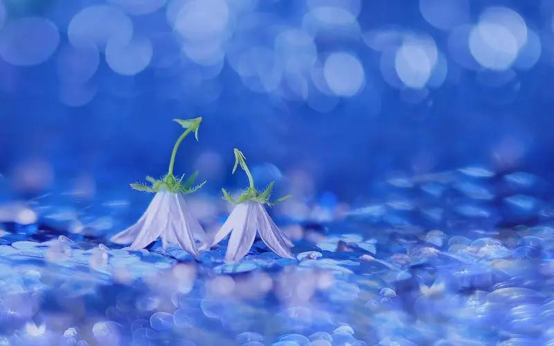 时间，不会说谎