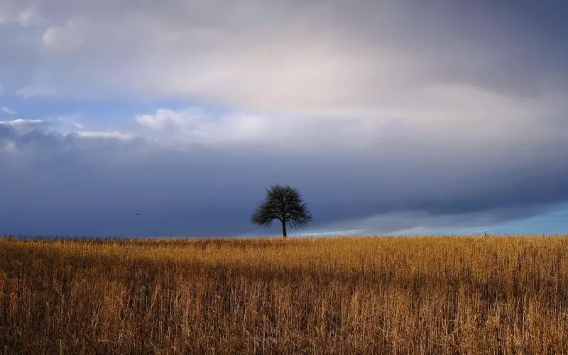 挽回爱情秘籍与方法—如何摆脱负面情绪？