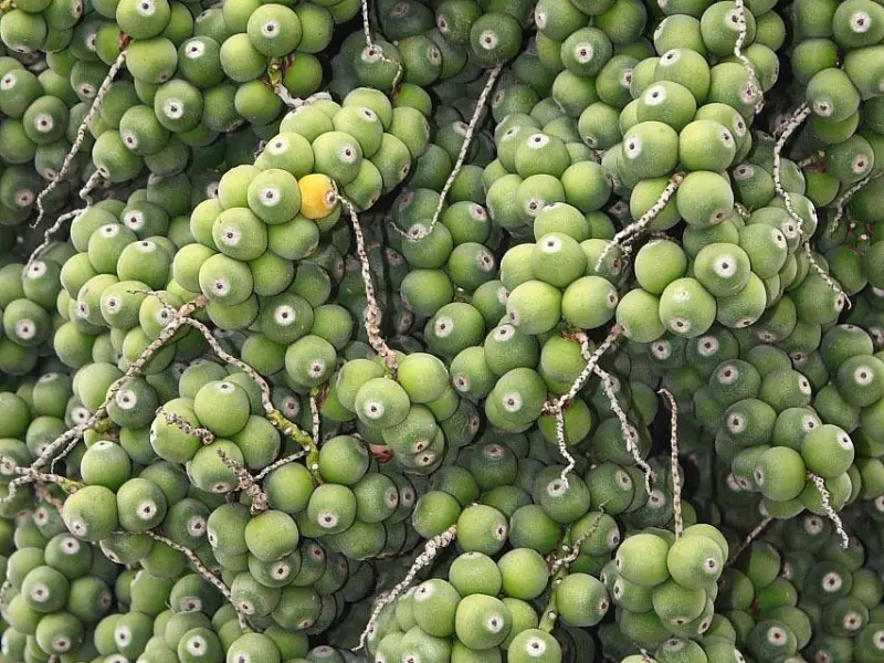 追女生秘籍：瞬间让她舔你全身的调情技巧，你知道几招。