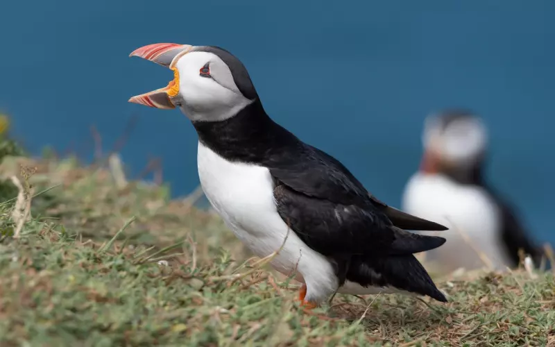 异地恋情侣打电话聊天技巧