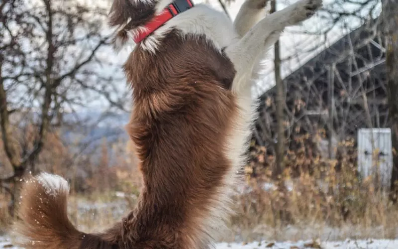 冷爱支招：如何让男友主动挽回爱情？