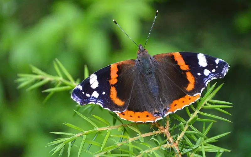 追女生技巧恋爱技巧：快速现场操作如何调情