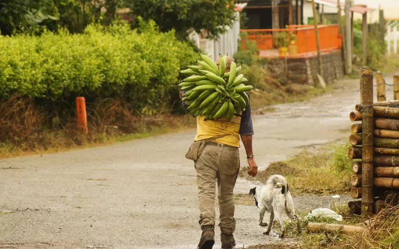 金牛男友分手复合技巧：如何挽回金牛男,针对他这种性格，做好这三点就能成功挽回前任!