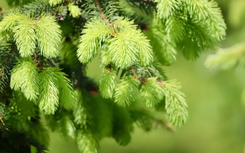 异地恋分手复合的技巧