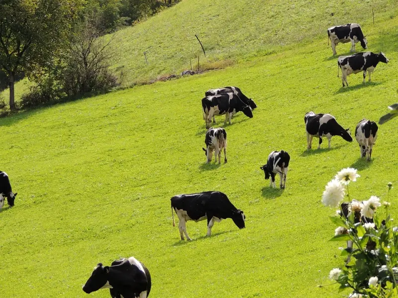 挽回男友秘籍：挽回前任，这样做，让男友再次回到你身边