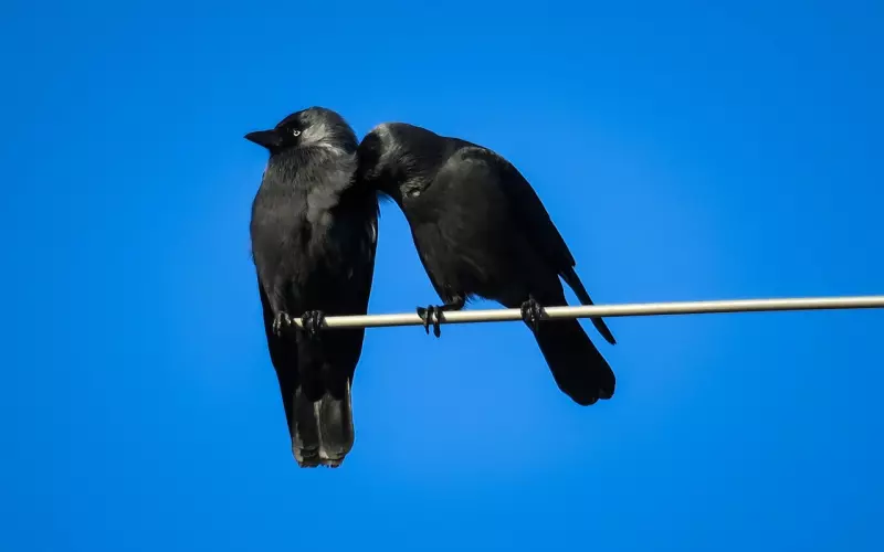 维护感情小妙招