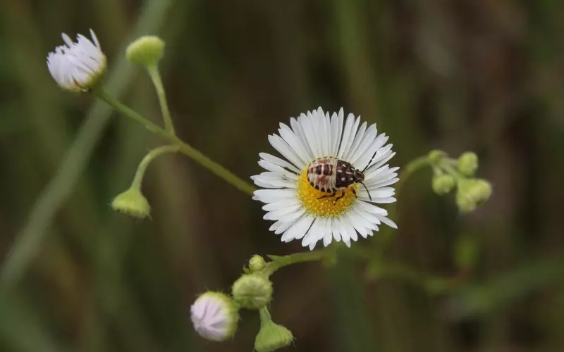 挽回期的技巧：如何挽回你们之间冷淡期的感情