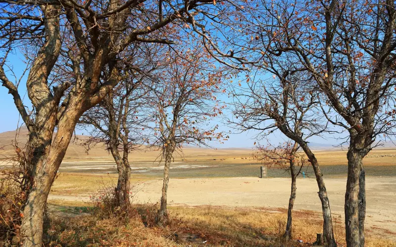 挽回爱情秘籍异地恋分手怎么挽回(异地恋怎么挽回真性分手的感情呢)