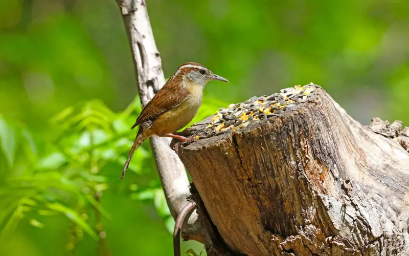 挽回秘籍：利用分手后的三种心态来挽回爱情