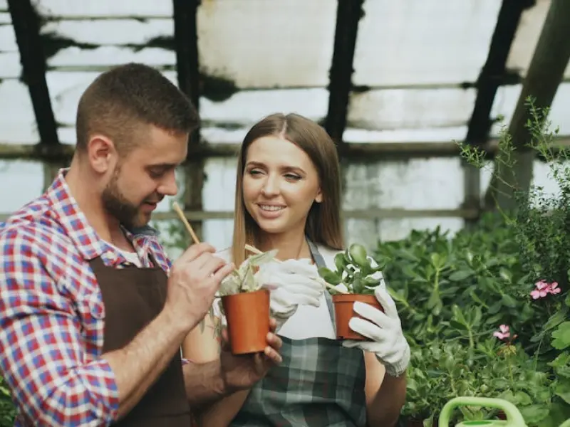 婚姻挽回秘籍：离婚后该如何挽回老婆