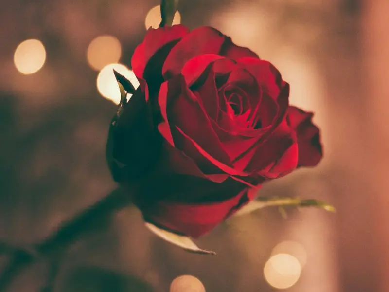 成功挽回婚姻的技巧：夫妻感情破裂，老公非要离婚该怎么做？