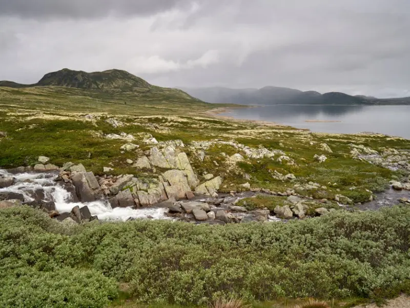 成功挽回婚姻的技巧：老公离婚态度坚决，该怎么挽回老公