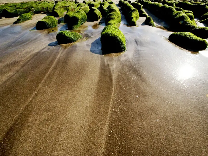 挽回婚姻秘籍，如何挽回老公的心，教你挽回婚姻的正确做法