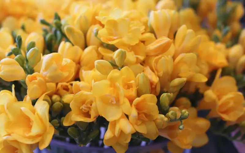 挽回爱情的小常识 不懂得这些怎么挽回男友的心?