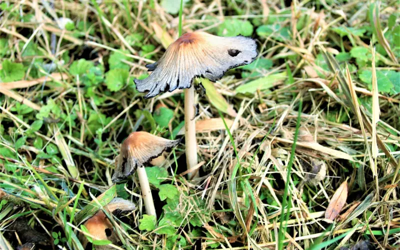 挽回秘籍：分手了心思很乱，该如何挽回男朋友