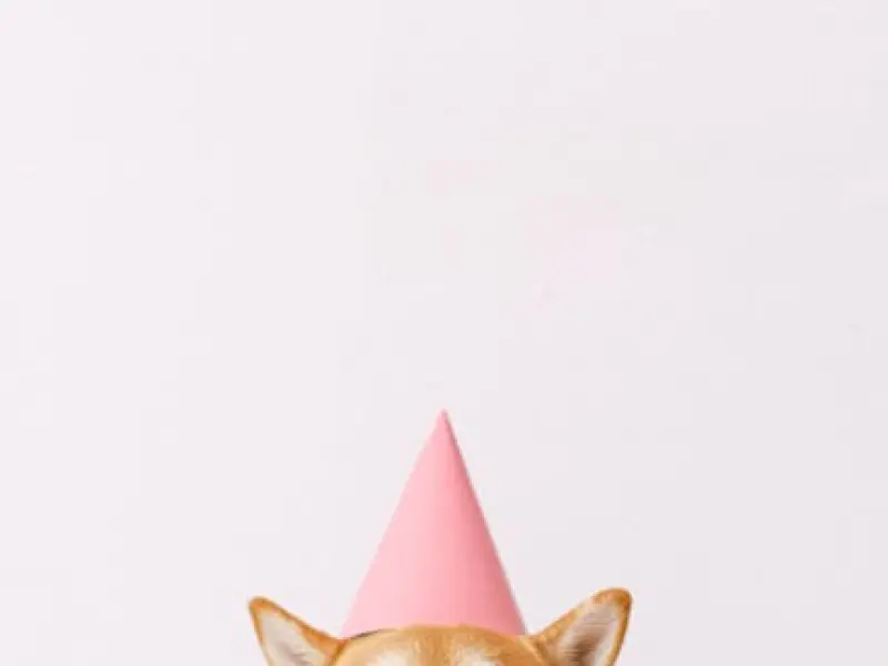 挽回老公秘籍：老公坚决要离婚，看聪明女人是如何挽回的