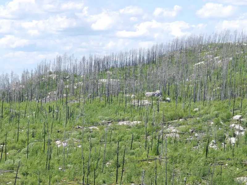 挽回男友宝典：男友分手后立马有了新欢，该怎么挽回女友的技巧