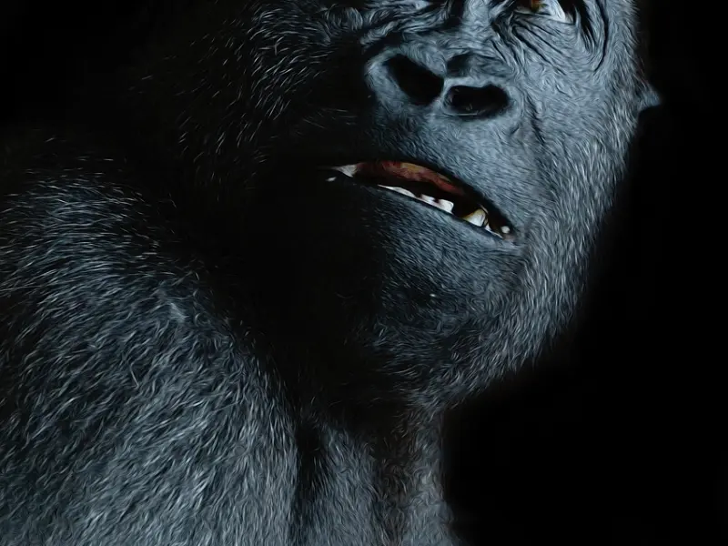 怎么挽回男友秘方：男友不信任我，要分手，该如何挽回？