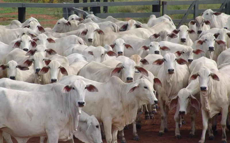 如何挽回男友技巧：被男朋友抛弃怎么办？用这三招保管用