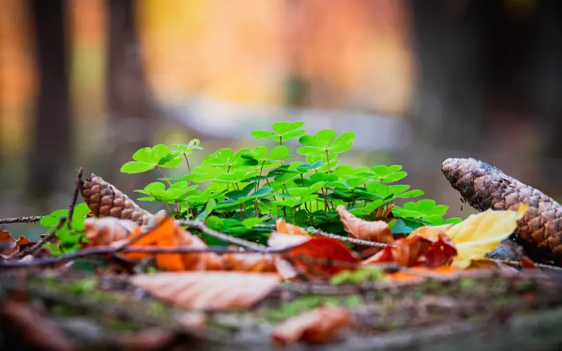 如何挽回老公的技巧：想要稳住老公不安定的心，这样做准没错