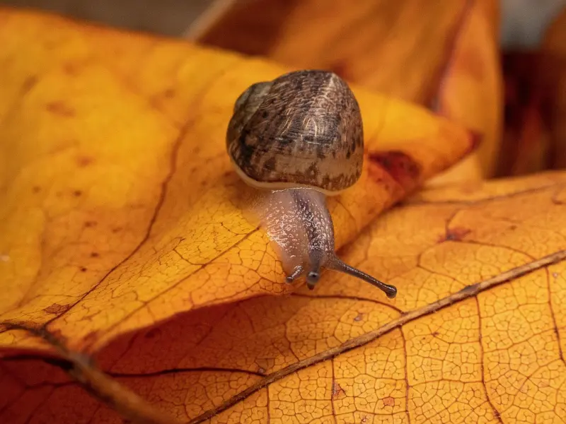 怎么挽回男友的技巧：分手后心急挽回可对方却无动于衷,该怎么挽回