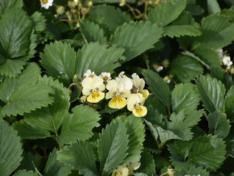 怎么挽回女友的秘诀：女友爱上了别人，还有挽回的必要吗？