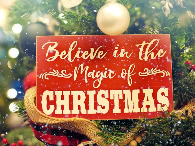 如何挽回女友秘籍：女友说再也不相信我了，挽回该怎么做？