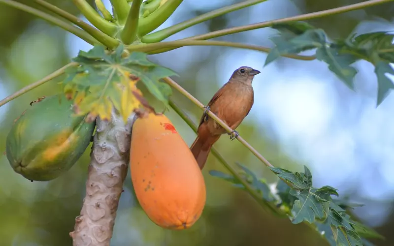 挽回男友技巧：你必须知道的三件事