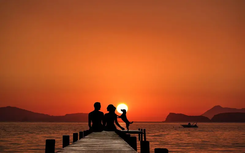 【把妹秘籍】妹子抛出棘手问题该如何答？