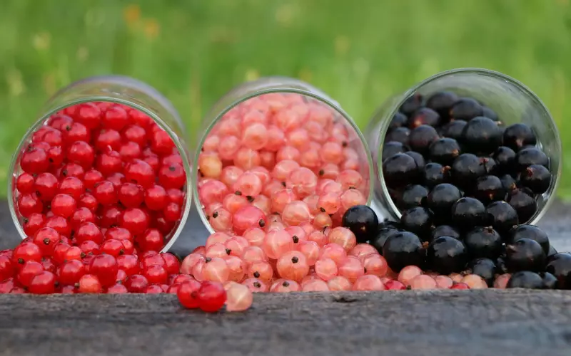 被拉黑后的挽回技巧：三招快速挽回男友