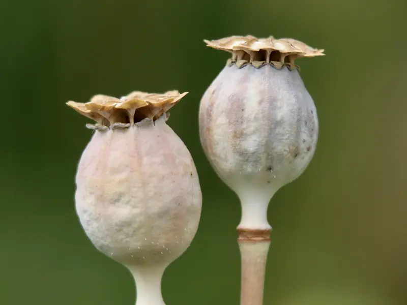 挽回婚姻技巧，这四种方法最有用