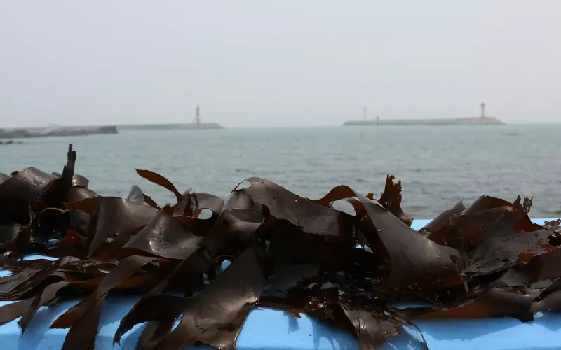 挽回双子座男友技巧？别纠结了，回头是岸