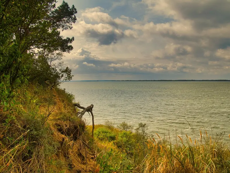挽回水瓶座男友绝招：挽回水瓶座男友的心，这三招让他主动求和